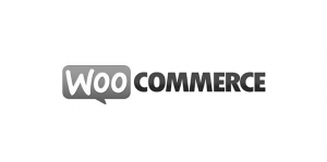 woocommerce-1.png